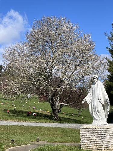 Friends of Mount Lawn Cemetery Association organizes roadway renovation